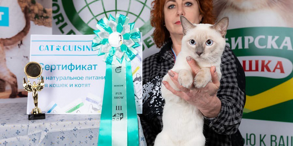Выставка кошек (26-27 ноября 2022 г ) в Москве — КЛК ЛОЙ «Синичкины посиделки»