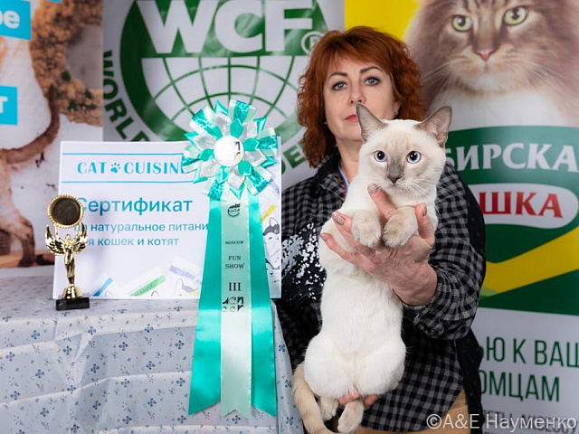 Выставка кошек (26-27 ноября 2022 г ) в Москве — КЛК ЛОЙ «Синичкины посиделки»